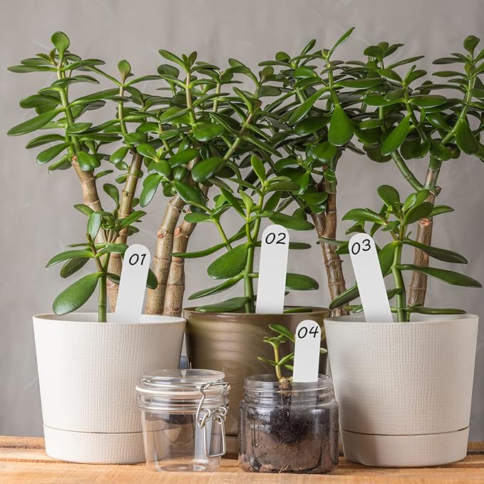 200Pcs Plastic Plant Labels Wrap Around Tree Tags, Adjustable Hanging Plant Tags, Nursery Garden Labels Name for DIY, Identification Stakes