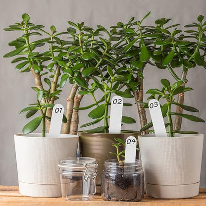 200Pcs Plastic Plant Labels Wrap Around Tree Tags, Adjustable Hanging Plant Tags, Nursery Garden Labels Name for DIY, Identification Stakes