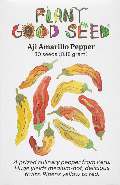 Plant Good Seed Organic Aji Amarillo Pepper Seeds for Planting: Peruvian Heirloom Chili, Orange Yellow Fruits - 30 Seed Packet