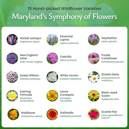 Created By Nature Maryland Wildflower Seed Mix, 15 Flower Varieties, 50,000 Seeds