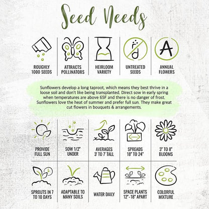 Seed Needs Sunflower Seeds to Plant The Original Crazy Blend | 500+ Heirloom Seeds 15+ Varieties Open Pollinated & Untreated | XL Packet Multicolored Blooms Flower Seed
