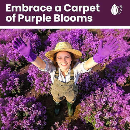 20000+pcs Purple Creeping Thyme Seed for Planting, Non-GMO Heirloom Perennial Ground Cover Flowers Seeds, Lawn Alternative, Fragrant Herb Seeds for Lawns & Paths Garden Backyard