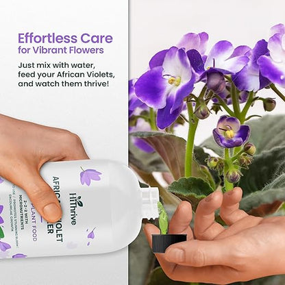 16oz African Violet Fertilizer for African Violets Live Plants - Makes 24 Gallons of Indoor Plant Food for Houseplants, Balanced Macro & Micronutrients Formula for Vibrant Blooms & Lush Foliage
