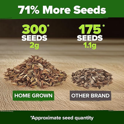 HOME GROWN Coral Zinnia Seeds (1g) – 300 Zinnia elegans Annual Flower Seeds for Planting Outdoors – Heat Tolerant Easy Summer Flowers to Plant – Herb Seed Companion for Pollinator Garden Beds for 2026