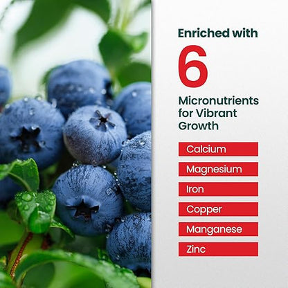 16oz Berry Fertilizer - Makes 16 Gallons of Fruit Tree Fertilizer for Elderberry, BlackBerry & More, Nutrient-Rich Liquid Plant Food for Strong Roots, Healthy Growth, and Flavorful Fruits