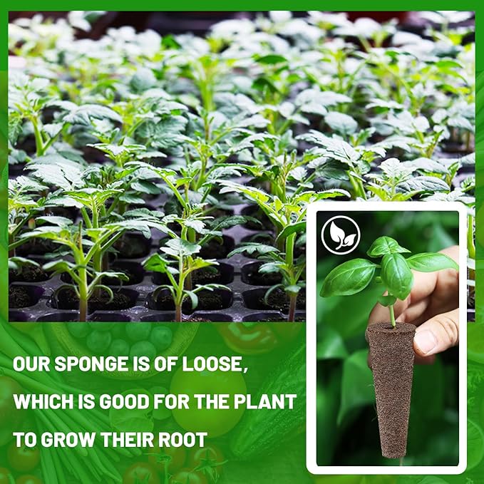 200 Pcs Seed Pods Replacement, Sponges Seed Growth Kit, Grow Sponges for Greenhouses & Germination Equipment, Starter for Indoor Garden System (Black)