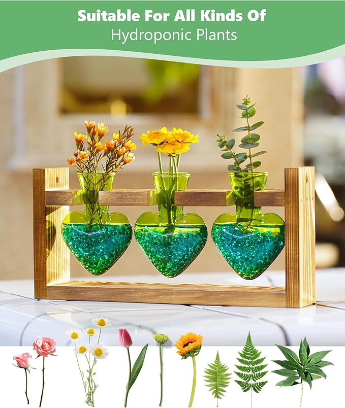 Nacome Plant Terrarium Propagation Stations: Birthday Gifts for Plant Lovers Women Mom Wife Daughter - 3 Bulb Glass Vase with Wooden Stand Tabletop for Hydroponics Home Garden Decor(Green)