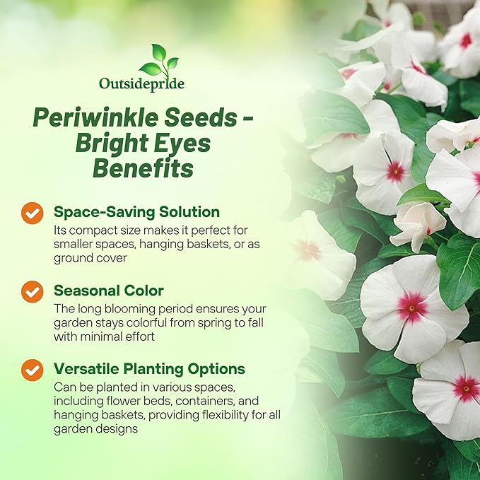 Outsidepride Bright Eyes Periwinkle Seeds for Planting – 2000 Pcs Annual, Fast-Blooming, Heat & Drought Tolerant Vinca Flower Seeds with Vibrant Colors Ideal for Gardens, Beds, Borders & Containers