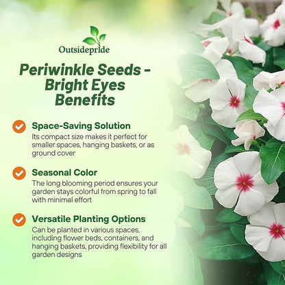 Outsidepride Bright Eyes Periwinkle Seeds for Planting – 2000 Pcs Annual, Fast-Blooming, Heat & Drought Tolerant Vinca Flower Seeds with Vibrant Colors Ideal for Gardens, Beds, Borders & Containers