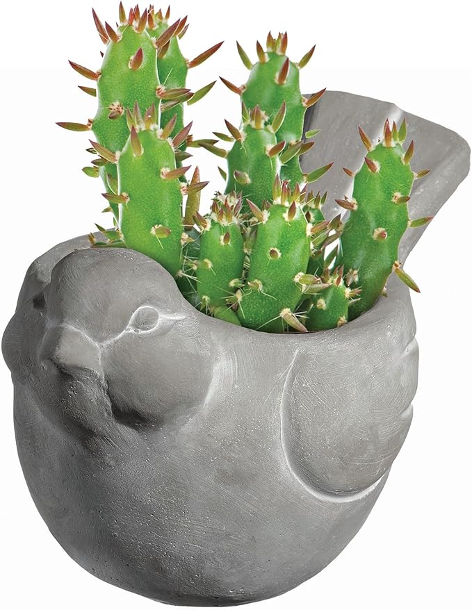 Classic Home and Garden Cement Buddies Animal Planter - Cute Desk Decoration - UV Coated Animal Vase w/Removable Drain Plug - Succulent Planter for Indoor/Outdoor Use (Bird Planter, Natural, Small)