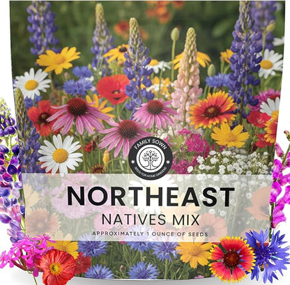 Northeast Natives Mix – 16,000 Seeds for Planting – 2026 Season – 1 Ounce Pouch