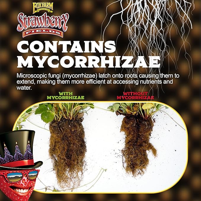FoxFarm Strawberry Fields Fruiting & Flowering Potting Soil, 1.5 Cu.ft (Pack of 2) - Use to Increase Blooms, Fruits, and Berries - Made for Stages of Plants