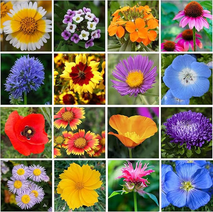 Wildflower Seed Mix 1LB Tub - Save The Bees Seed Mix, by GevaGrow | Bulk 300,000+ Seeds | Pollinator & Bee Attracting Flower Seeds Bulk for Planting in Pots & Outdoor Gardens | 1 Pound Tub