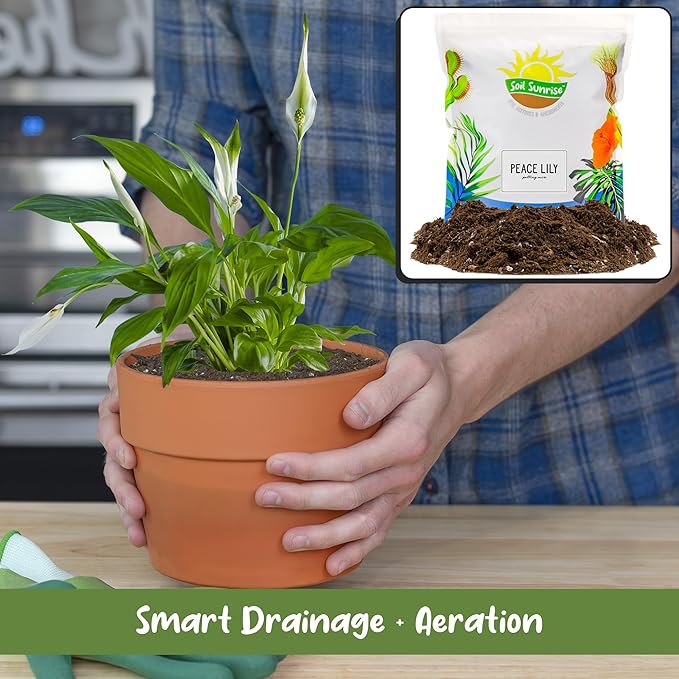 Soil Sunrise Peace Lily Potting Soil Mix (12 Quarts) for Planting, Growing, or Repotting Peace Lily Plants