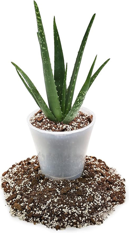 GARDENERA Premium Aloe Vera Potting Soil Mix - (4 Quart Bag)