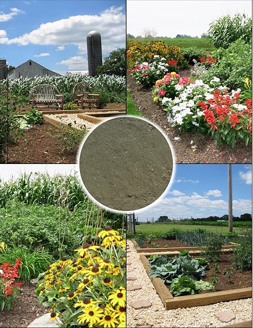 Greensand 5 Pounds – Natural Fertilizer for Healthy Soil, Rich in Potassium & Iron, Great for Gardens, Lawns & Growing - Lancaster Agriculture Products
