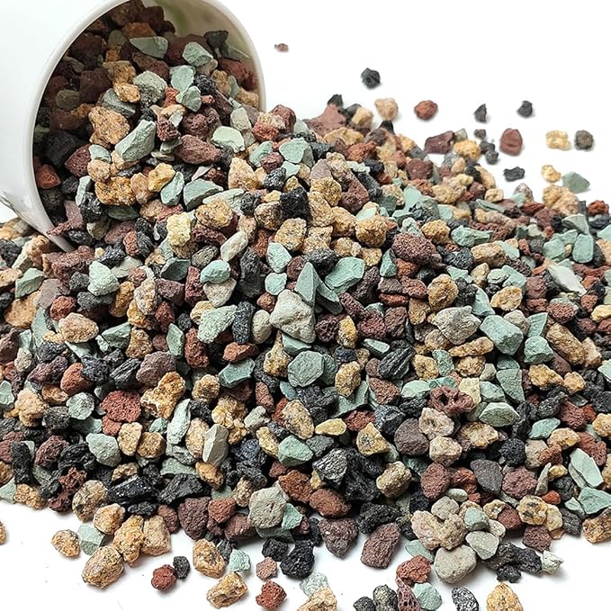 Succulent Cactus Soil Potting Mix Horticultural Lava Rocks Bonsai Soil for Indoor Plants Drainage Volcanic Rock for Terrarium Gardening Top Dressing 2lb