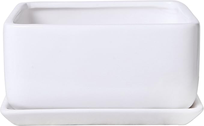 MyGift Modern White Ceramic Square Indoor Small Planter, Flower Succulent Plant Pot with Drainage Hole and Removable Drip Tray