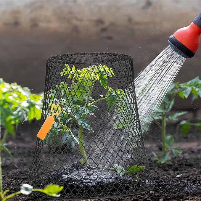 Geosar 30 Pcs 9 inch Chicken Wire Cloche Plant Protector Cover Metal Garden Cloche Dome for Plants Chicken Wire Protection Basket with Garden Stakes for Avoiding Rabbit Bird Small Animals Eat (Black)