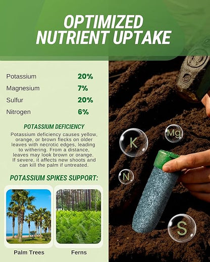 Potassium Palm Tree Fertilizer Spikes, Pack of 125 - Fertilizer Sticks & Plant Food Spikes for Palm Trees & Ferns - Contains Potash, Magnesium, Sulfur & Nitrogen, Essential Nutrients