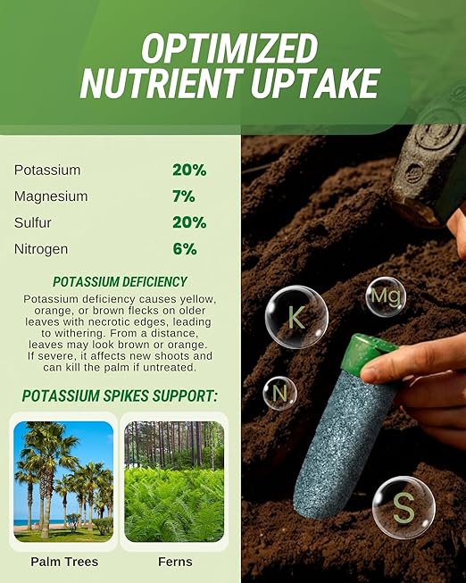 Potassium Palm Tree Fertilizer Spikes, Pack of 40 - Fertilizer Sticks & Plant Food Spikes for Palm Trees & Ferns - Contains Potash, Magnesium, Sulfur & Nitrogen, Essential Nutrients