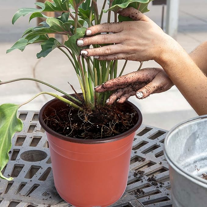 WFLNHB 100 Pack 3.5 Inch Nursery Pots Plastic Plant Pots Flexible Seedling Pot for Indoor and Outdoor Use