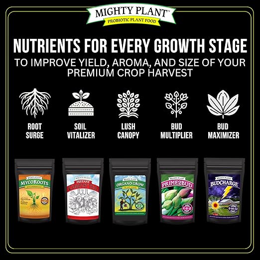 Flowering Bloom Booster Plant Enhancer – Arginine-Powered Growth Formula for Explosive Bloom & Fruit Set | Prime2Bud Ideal for Garden Flowers & Fruit-Bearing Vegetables (1, Pounds)
