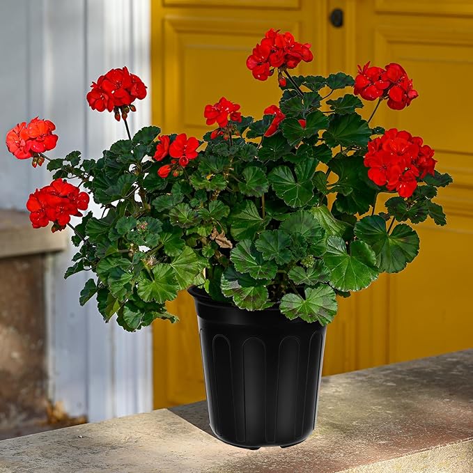 100 Pcs 1 Gallon Plastic Plants Nursery Pot with 100 Plant Labels Seed Starting Pots Plastic Pots with Drainage Hole for Seedlings, Cuttings, Transplanting (100, 1 Gallon)