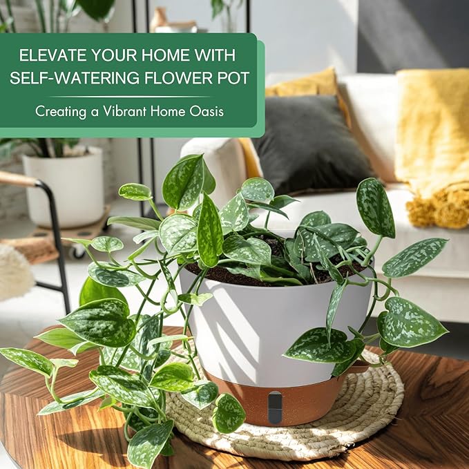 montresor 2 Pack 8 inch Plant Pots, PP Plastic Self Watering Plant Pot with Drainage and Tray for Indoor Outdoor Plants, Water Level Window & Reservoir Flower Pots Decorative Planter(White)