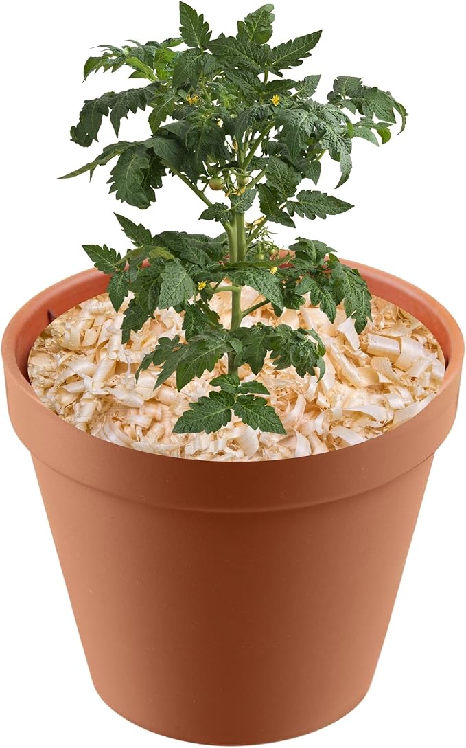 Garden Soils, Mulches and Rocks (Pine Shavings, 8 Quarts)