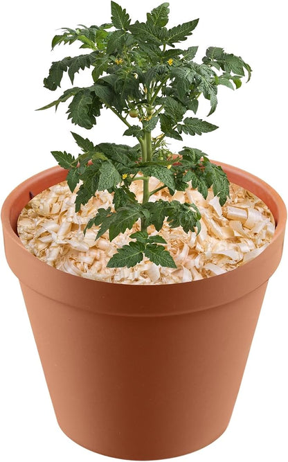 Garden Soils, Mulches and Rocks (Pine Shavings, 1 Quart)