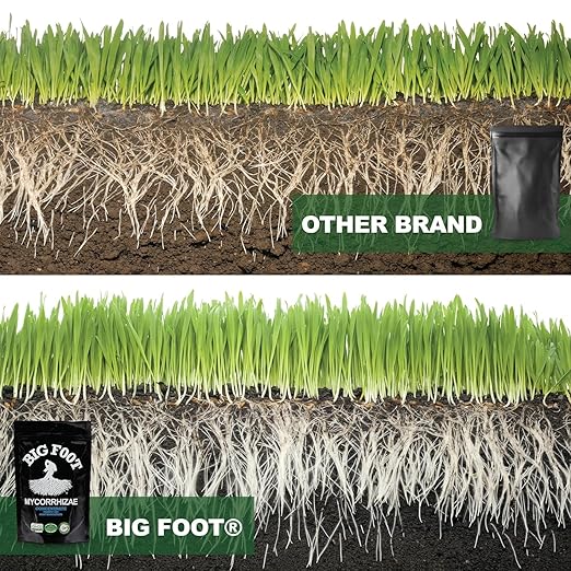 Big Foot Mycorrhizae for Plants, Potted Plants and Gardens - Concentrate Fully Dissolves in Water, Year Round Organic Fertilizer for Root Growth and Healthy Soil - 8 Ounces of Mycorrhizal Inoculant