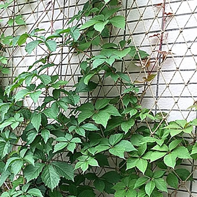 Trellis for Climbing Plants, Jute Plant Support Netting Jute Garden Netting for Plants Natural Garden Trellis Twine Net for Pea Bean Climbing Vegetable 79x197 in