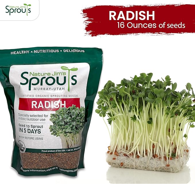 Nature Jims Organic Radish Sprout Seeds – 16 Ounce Premium Non-GMO Radish Seeds for Sprouting, Rich in Vitamins, Minerals, Fiber & Protein – Microgreen & Sprout Seeds for Home Growing