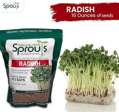Nature Jims Organic Radish Sprout Seeds – 16 Ounce Premium Non-GMO Radish Seeds for Sprouting, Rich in Vitamins, Minerals, Fiber & Protein – Microgreen & Sprout Seeds for Home Growing