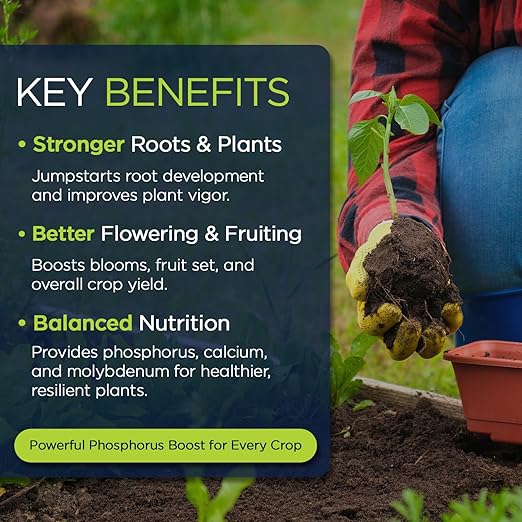 Supply Solutions | 0-45-0 Triple Superphosphate with 13.5% Calcium | High Phosphorus Bloom Booster Fertilizer for Indoor Plants, Flowers, Orchids, Citrus, Lawns, Vegetables & Fruit Trees (40 Pounds)