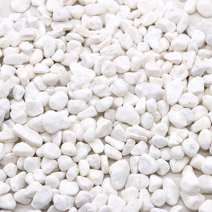 Rocks for Plants. White Decorative Pebbles. 0.5 to 1 Inch 18 lbs. for Garden, Landscaping, Indoor, Vase fillers, Crafting, Succulents, pots, Plants