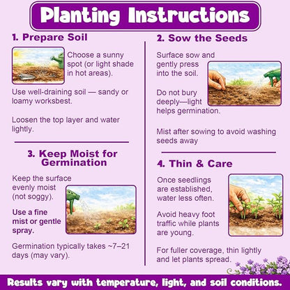 32000+ Purple Creeping Thyme Seeds for Planting, Low-Growing Perennial Ground Cover with Purple Blooms for Gardens, Walkways & Stepping Stones
