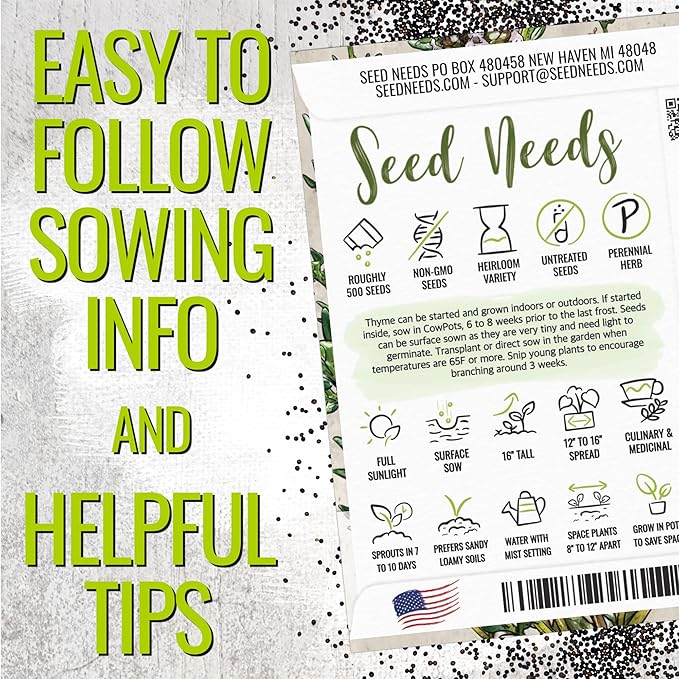 Seed Needs Thyme Seeds for Planting - Non-GMO Heirloom & Untreated Perennial Herb Seed to Plant a Culinary Kitchen Garden Indoors or Outdoors (5 Packs)