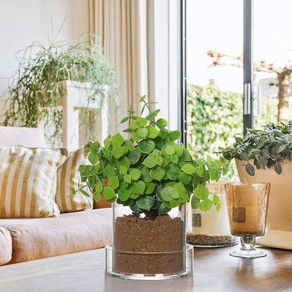 Clear Plant Nursery Pots Acrylic Orchid Pots with Drainage Holes and Tray Transparent Planter for Indoor Plants, Succulents, Herb, Flowers and Cactus Decorative(4 Inches,Circle)