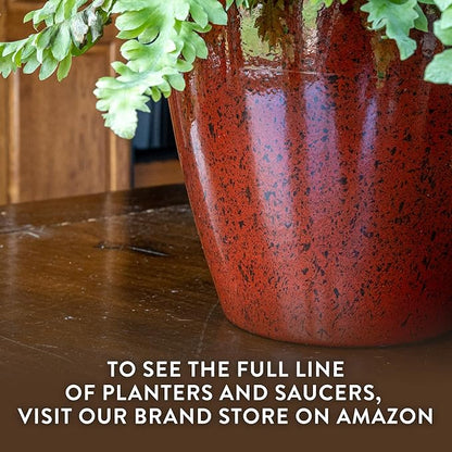 Classic Home and Garden Premiere Collection Planter, Vogue 8", Earth