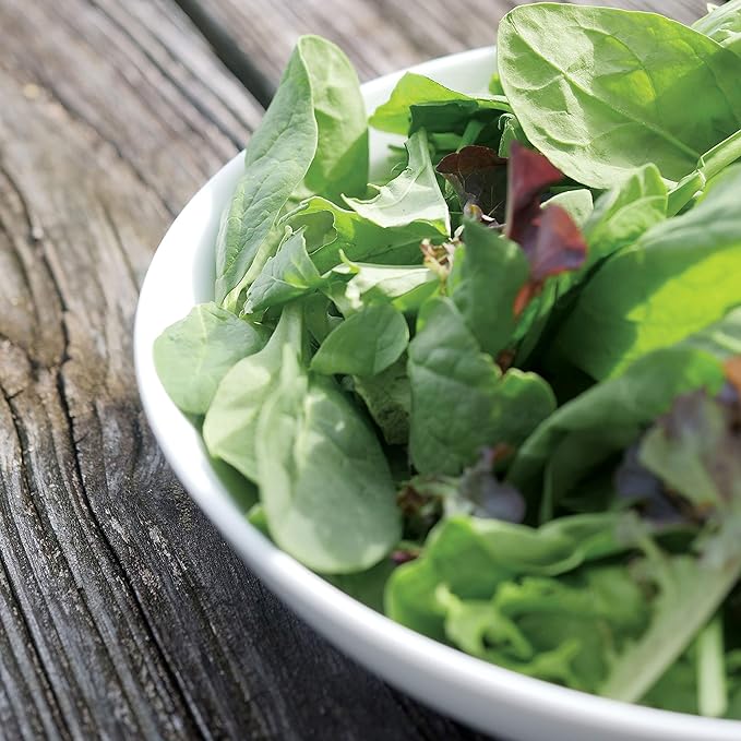 Park Seed Spinach Vegatable Plant Seeds, Easy to Grow, Variety of Colors, Spring Garden, Salad Variety Blend, Pack of 200