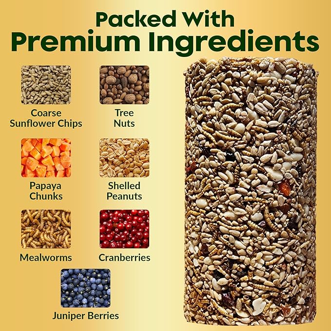 Bugs, Nuts & Berries Bird Seed Cylinders with Hole – Wild Bird Food for Blue Birds, Woodpeckers, Cardinals & More – Premium Protein-Rich All Natural Blend, No Fillers – USA Made (4" x 7.75")