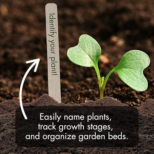 100% Natural Wood Plant Markers - 10 Inches Tall - for Field and Garden Use - Eco-Friendly & Sustainable Plant Identification - Made in USA - (Pack of 25)