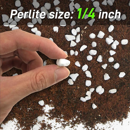 3 Quarts Perlite for Plant Soil - Amendment for Potting Soil, Improves Drainage and Aeration for Soil,Better for Root Growth (1/4 inch)