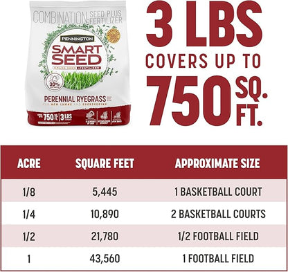 Pennington Smart Seed Perennial Ryegrass 3 lb