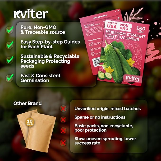 KVITER 150 Straight Eight Cucumber Seeds (Cucumis sativus) - Straight 8 Cucumber Organic, Perfect Cucumbers for Pickling and Slicing - Vegetable Seeds for Planting Outdoors in Home Garden & Containers