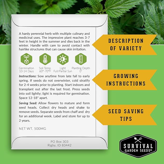 Stinging Nettle Seeds for Planting - Urtica Dioica Medicinal Herb & Edible Perennial - Common Nettle for Tea, Cooking & Wellness - Heirloom Non-GMO - Survival Garden Seeds (5 Packs)