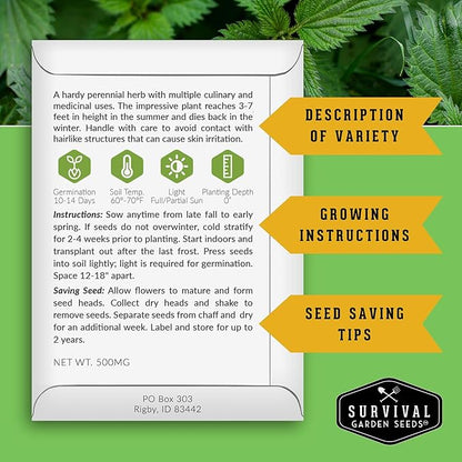 Stinging Nettle Seeds for Planting - Urtica Dioica Medicinal Herb & Edible Perennial - Common Nettle for Tea, Cooking & Wellness - Heirloom Non-GMO - Survival Garden Seeds (5 Packs)