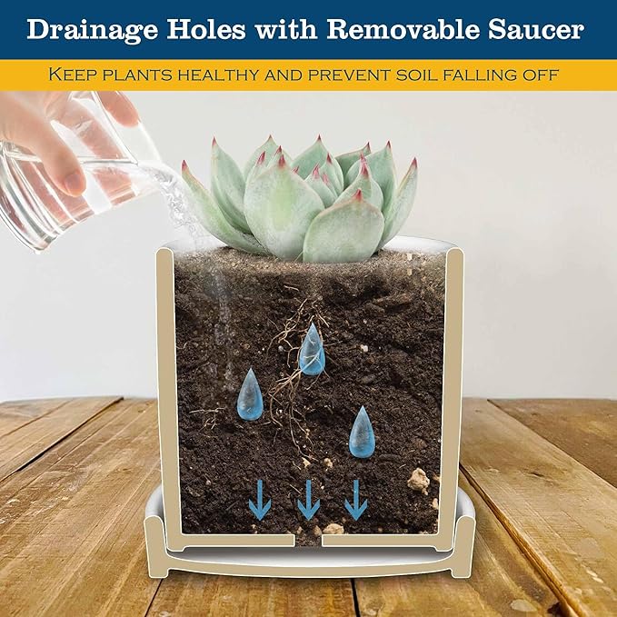 Cute Succulent Pots for Office - If You Ever Feel Useless Just Remember You Breathe Out Carbon Dioxide for Plants, Cute Plant Pots Desk Planter, Funny Pot for Plant
